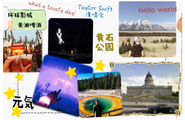 杨图片3.png